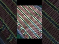 OEM โคมไฟรักษา UV ความเข้มข้นสูง 20000 ชั่วโมงอายุสําหรับเครื่องพิมพ์ Inkjet